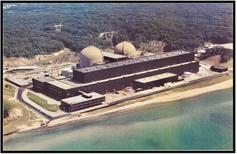 D.C. Cook NPP